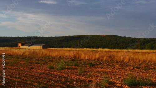  Traversant un champ de blé éclairé et éclairé par les rayons d'un soleil couchant, environnement campagne hispanique, en Castilla-y-Léon, agriculture locale et traditionnelle, arrivée dans un village