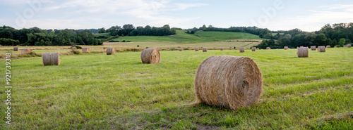 hay bales in grass fields of french champagne ardennes region