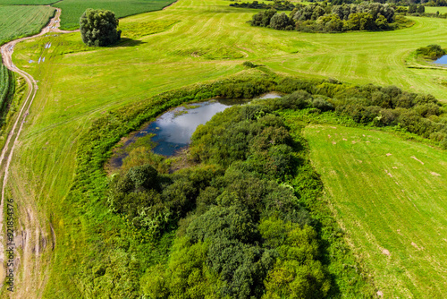 Aerial view of marshy area with thickets of trees in the middle of an agricultural field