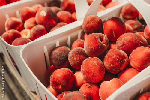 Peaches at the farmers market in bushel baskets