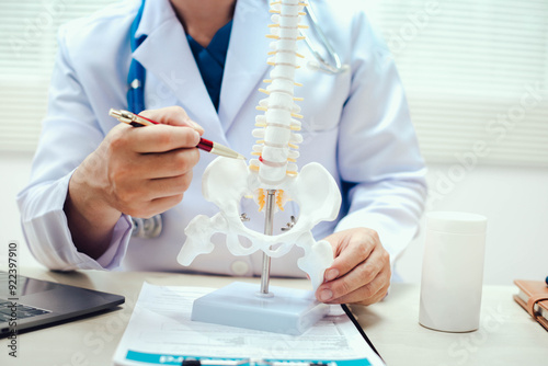 The intervertebral disc is a cushion-like structure between vertebrae in the spine, composed of a tough outer layer and a gel-like center, providing flexibility and absorbing spinal shock.