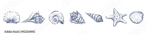 Seashells set textured sketches, mollusks, underwate sealife, vector hand drawn illustration isolated on white