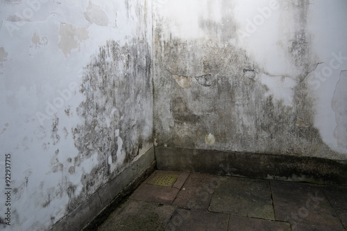 A deteriorated corner of a neglected courtyard with peeling white paint and extensive moisture damage. Dark stains and mold patches cover the lower portion of the old wall due to the humid weather.