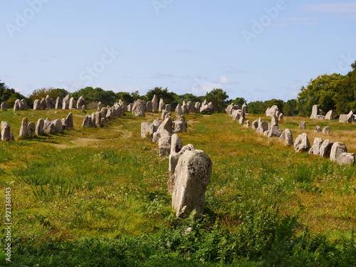 Rows of menhirs, in Carnac France, carved out of rock, the exact meaning is unknown, but the cultic or calendaric significance in the Neolithic period seems certain.