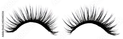 PNG Dramatic black false eyelashes pair