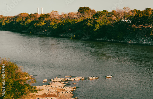 linda paisagem em dia de trilha