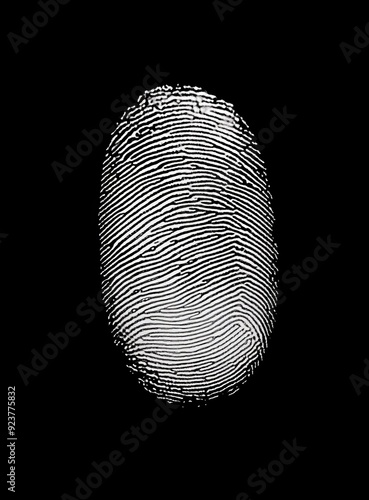 The black and white fingerprint in high definition has good detail and can be used as an alpha channel or mask.