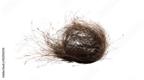 tumbleweed transparent background