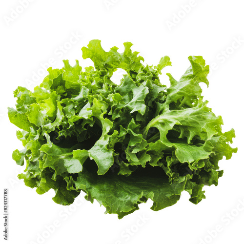 PNG Fresh green lettuce leaves arranged in a natural formation on a white background