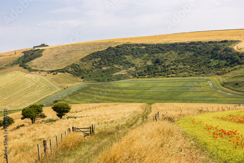 An idyllic South Downs landscape on a sunny summer's day