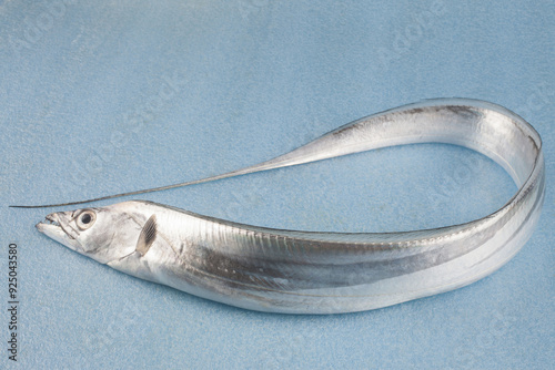 Close up of a raw silver cutlass fish on sky blue floor, South Korea