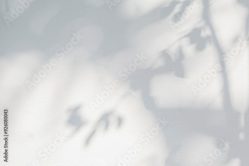 Tree shadow and light of leaf branch background. Nature leaves tropical jungle tree branch dark shadows and light from sunlight on wall texture for background wallpaper design, shadow overlay effect