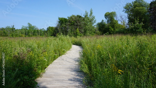 Gravel Pathway Through the Woods at Schlitz Audubon