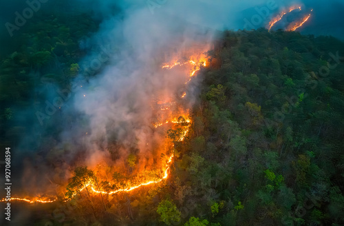 Wildfires release carbon dioxide (CO2) emissions and other greenhouse gases (GHG) that contribute to climate change.