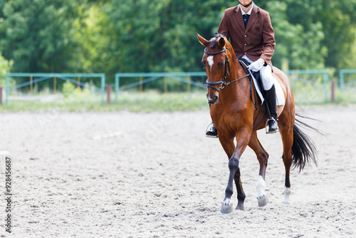 Rider in formal attire gracefully trotting a horse in an outdoor equestrian arena on a sunny day