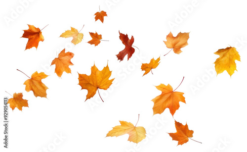 PNG Autumn leaves falling white background