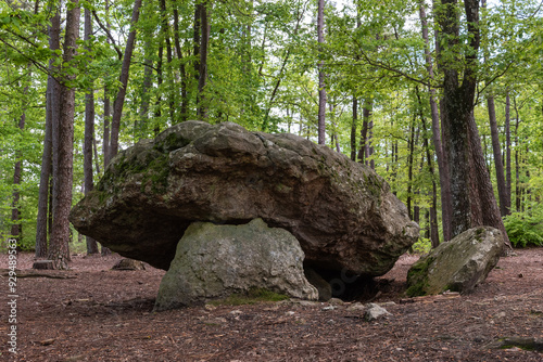 Neolithic dolmen of the Pierre Procureuse (Saint-Cyr-la-Rosière, Orne, Normandie, France)