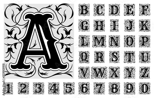 Decorative letters. Hand drawn ornate alphabet symbols numbers and letters recent vector vintage font