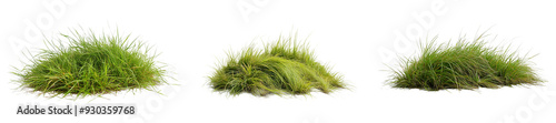 Grass Tufts Collection - isolated on White Transparent Background, PNG 