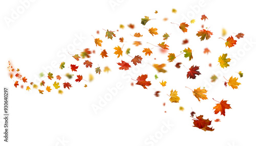  Autumn leaves swirl in the wind. Fall leaves cutouts