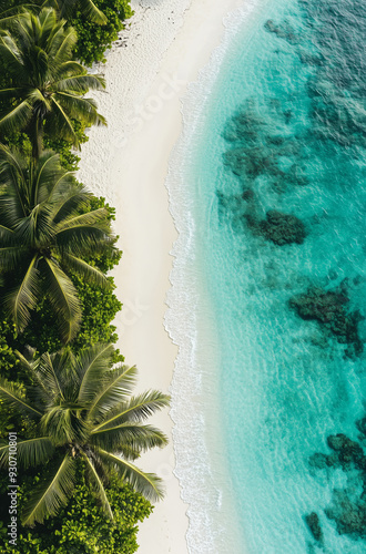 Aerial view of the tropical sandy beach and crystal clear turquoise ocean, with lush greenery and palm trees