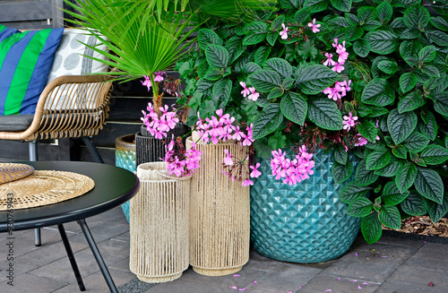 kompozycja z roślin doniczkowych komarzyca i pelargonia bluszczolistna, Plectranthus Nico, ozdone wazony, stolik, rołsiny i fotel na tarsie, flowers in pot and decorative objects on the patio, 