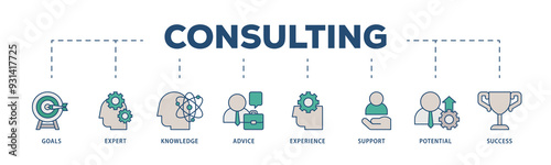 Consulting icons process structure web banner illustration of goals, expert, knowledge, advice, experience, support, potential, and success icon png transparent background.