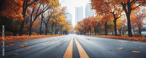 Empty road covered with fallen leaves in autumn