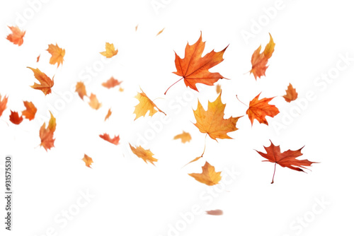 PNG Autumn leaves backgrounds maple plant.