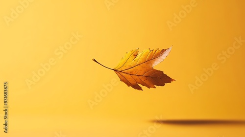 A single brown leaf floating against a yellow background.