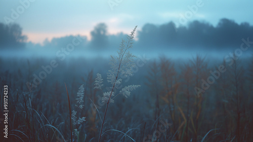 autumn morning with cool mist, dewy grass, soft light, and crisp air, creating a serene atmosphere as gentle fog rolls over the landscape