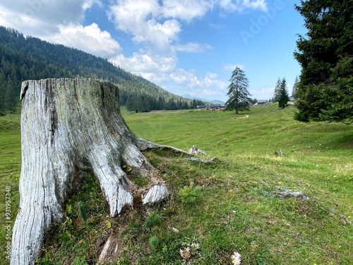 Paesaggio montano 3