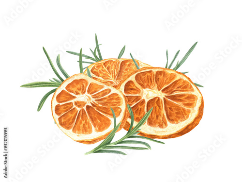 Dried citrus slices with rosemary twigs pile watercolor illustration. Orange pieces and green leaves heap for Christmas baking and hot warming drinks. Mulled wine or alcohol free drink.