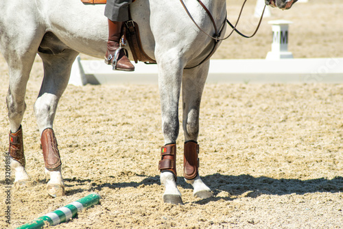 legs of a purebred white horse in an equestrian competition