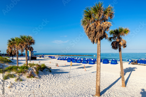 Beautiful Clearwater beach in sunny day with palm trees on white sand in Clearwater, Florida, USA