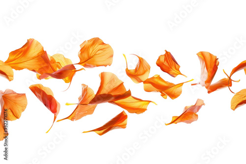 PNG Floating orange flower petals gracefully