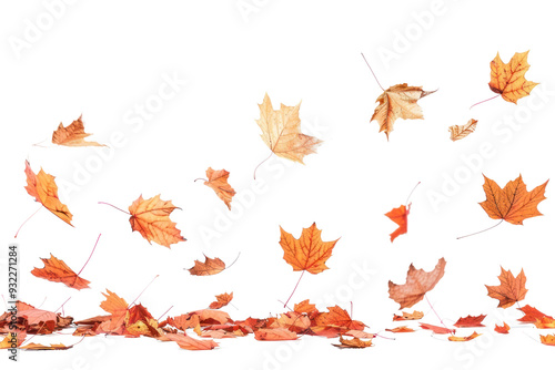 PNG Autumn leaves falling gracefully