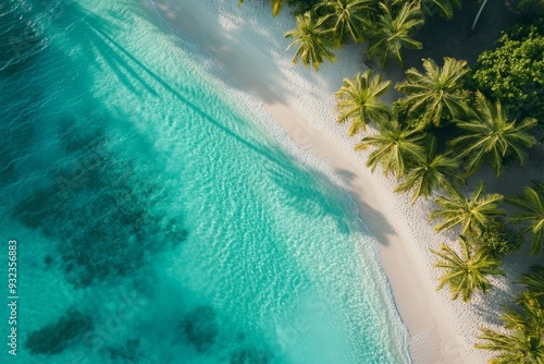 Aerial view captures a stunning lagoon with clear turquoise waters gently lapping against a sandy shore lined with lush palm trees, creating a serene coastal escape