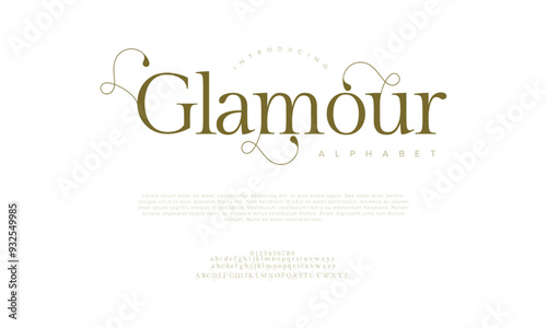 Glamour swash luxury elegant alphabet letters and numbers. Vintage wedding typography classic serif font decorative vintage retro. creative vector illustration