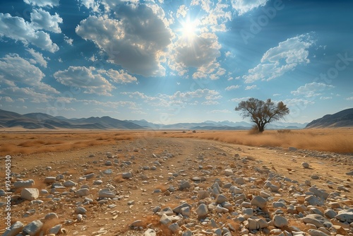 Global warming concept. Lonely tree on dry cracked ground arid desert landscape, parched lifeless earth, stones under hot sun and blue sky with white clouds. Strong heat, extreme weather conditions