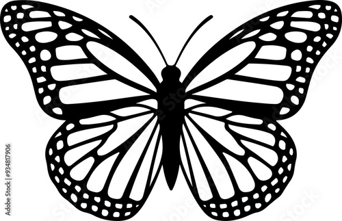 Butterfly PNG image