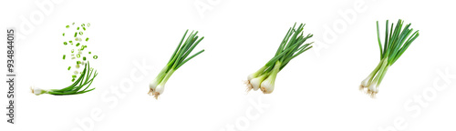 Collection of Chopped green onions in bowl top view isolate on transparency background