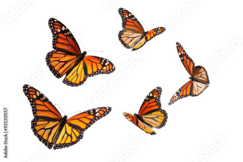 set of butterflies isolated on white or transparent png