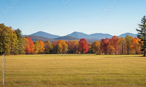 Tranquil fall landscape, open field, colorful trees