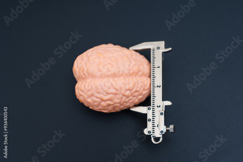 Measuring Human Brain Model With Caliper Tool On Black Background