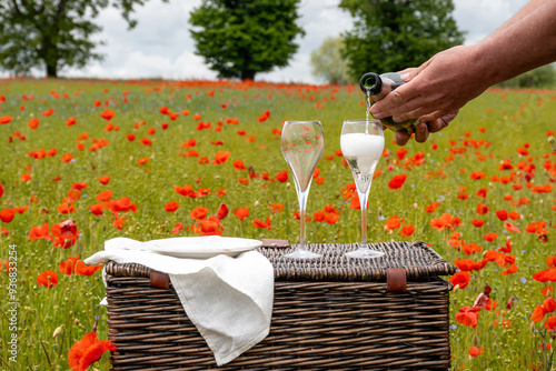 Picnic on red poppies flowers field and green grass with glasses of champagne sparkling wine, cremant or cava, summer in France, weekend background