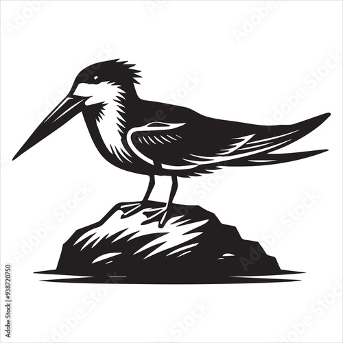 Black Skimmer Silhouette, Rynchops Niger Bird Clipart, Black Skimmer perched on a rock Illustration in black and white