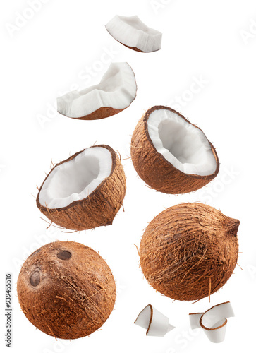 Coconuts isolated set. Collection of coconut, halves and slices on a transparent background.