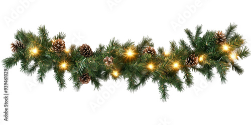 Christmas tree branch with cones and lights.