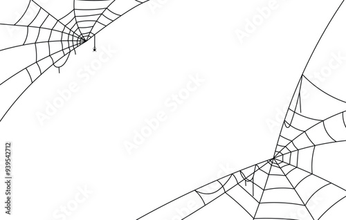 spider web halloween background, scary spider and cobweb on white background